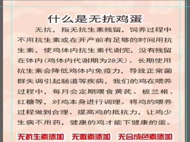 綠美格勒無(wú)抗雞蛋